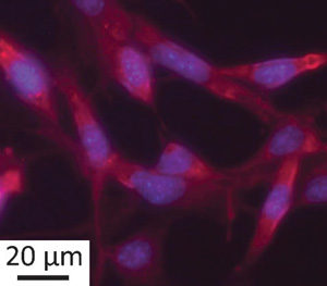 Illustration for article titled Recycled Urine Makes Colorful Quantum "Pee-Dots"